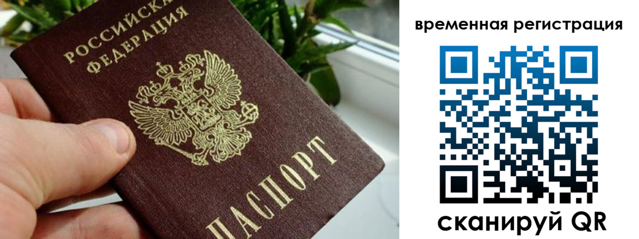 прописка поиск в Тольятти